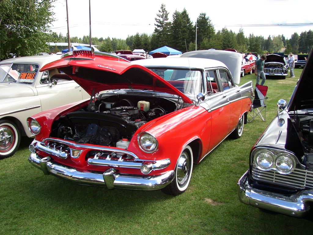 P1010006.JPG